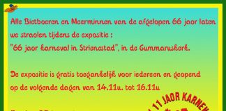 Expositie 66 jaor karneval in Strienestad